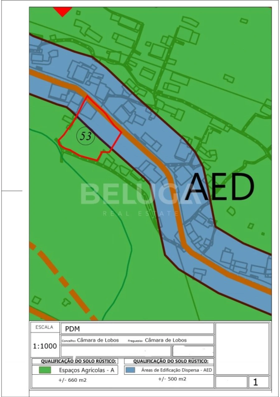 Terreno para Venda em Camara de Lobos Foto 12