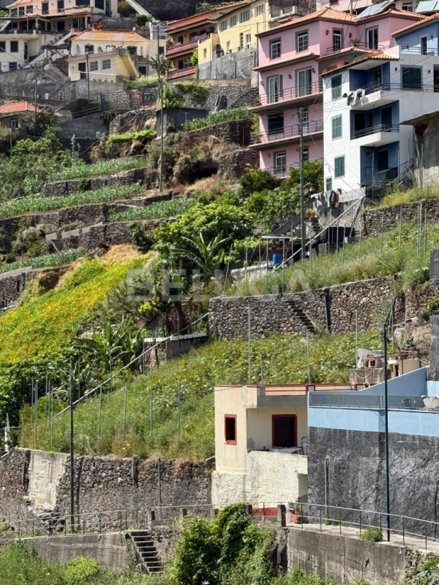 Terreno para Venda em Camara de Lobos Foto 40