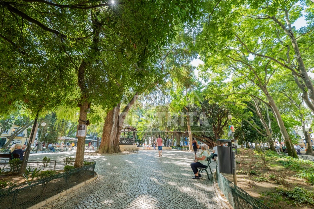 Apartamento T3 para Venda em Campo de Ourique Foto 38