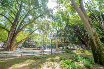 Apartamento T3 para Venda em Campo de Ourique