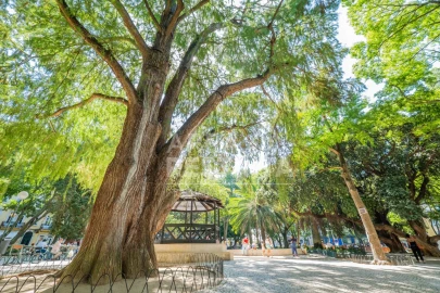 Apartamento T3 para Venda em Campo de Ourique