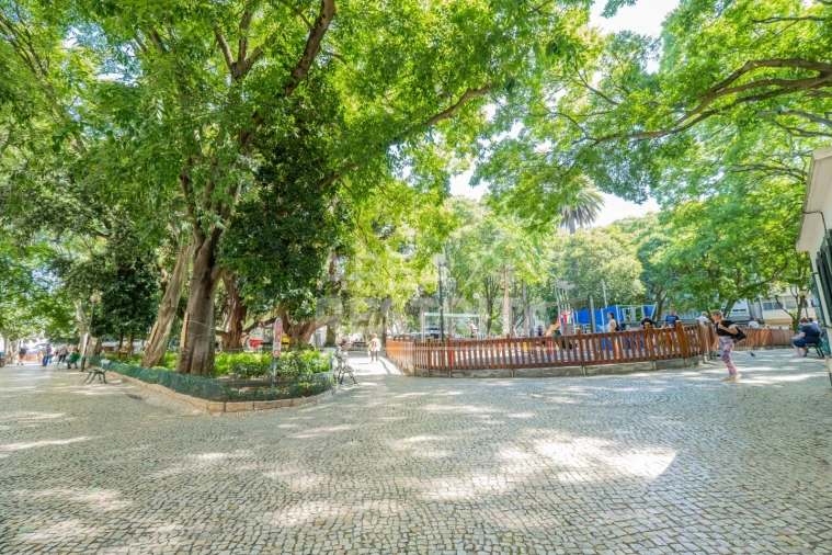 Apartamento T3 para Venda em Campo de Ourique Foto 35