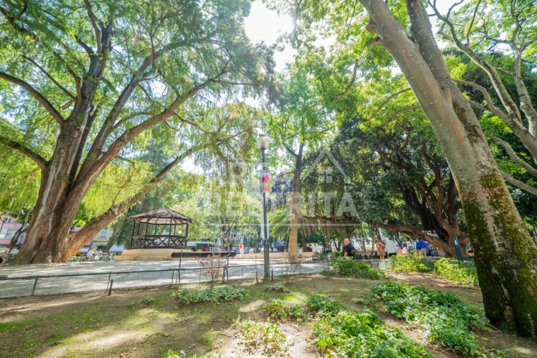 Apartamento T3 para Venda em Campo de Ourique Foto 36