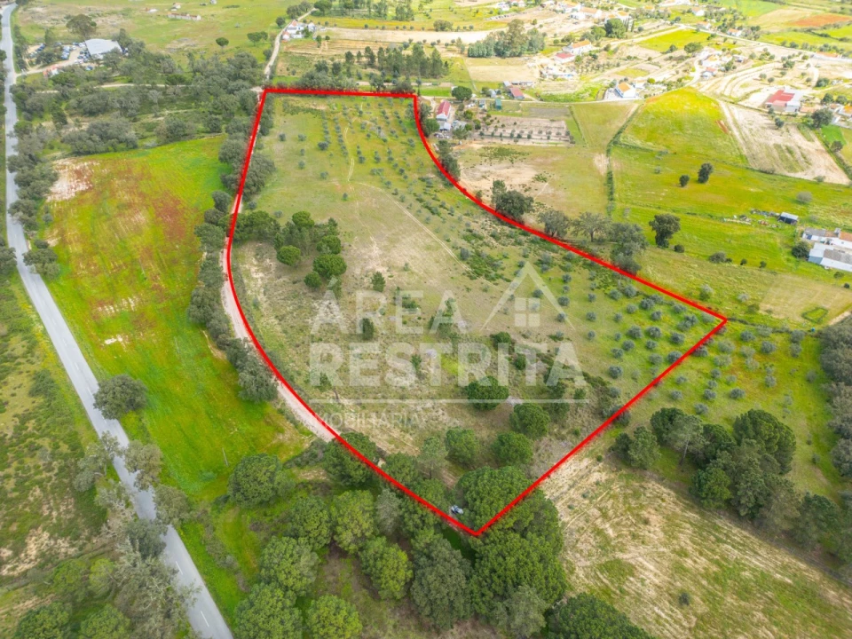 Terreno para Venda em Canha Foto 2