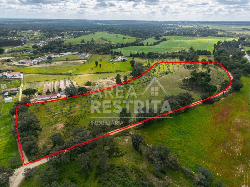 Terreno para Venda em Canha Foto 3