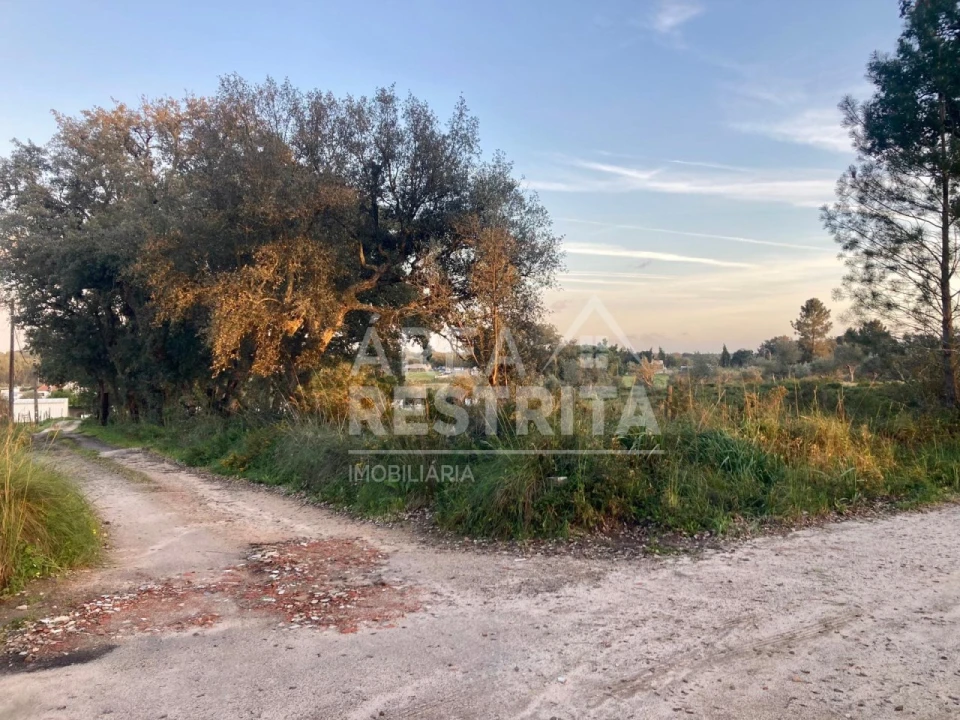 Terreno para Venda em Canha Foto 10