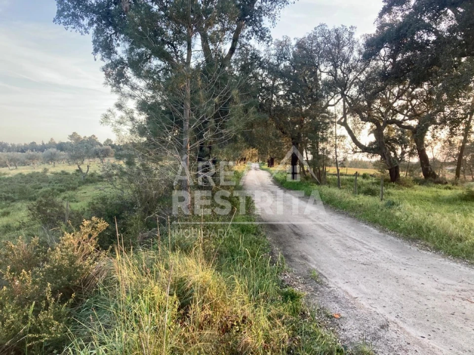 Terreno para Venda em Canha Foto 14