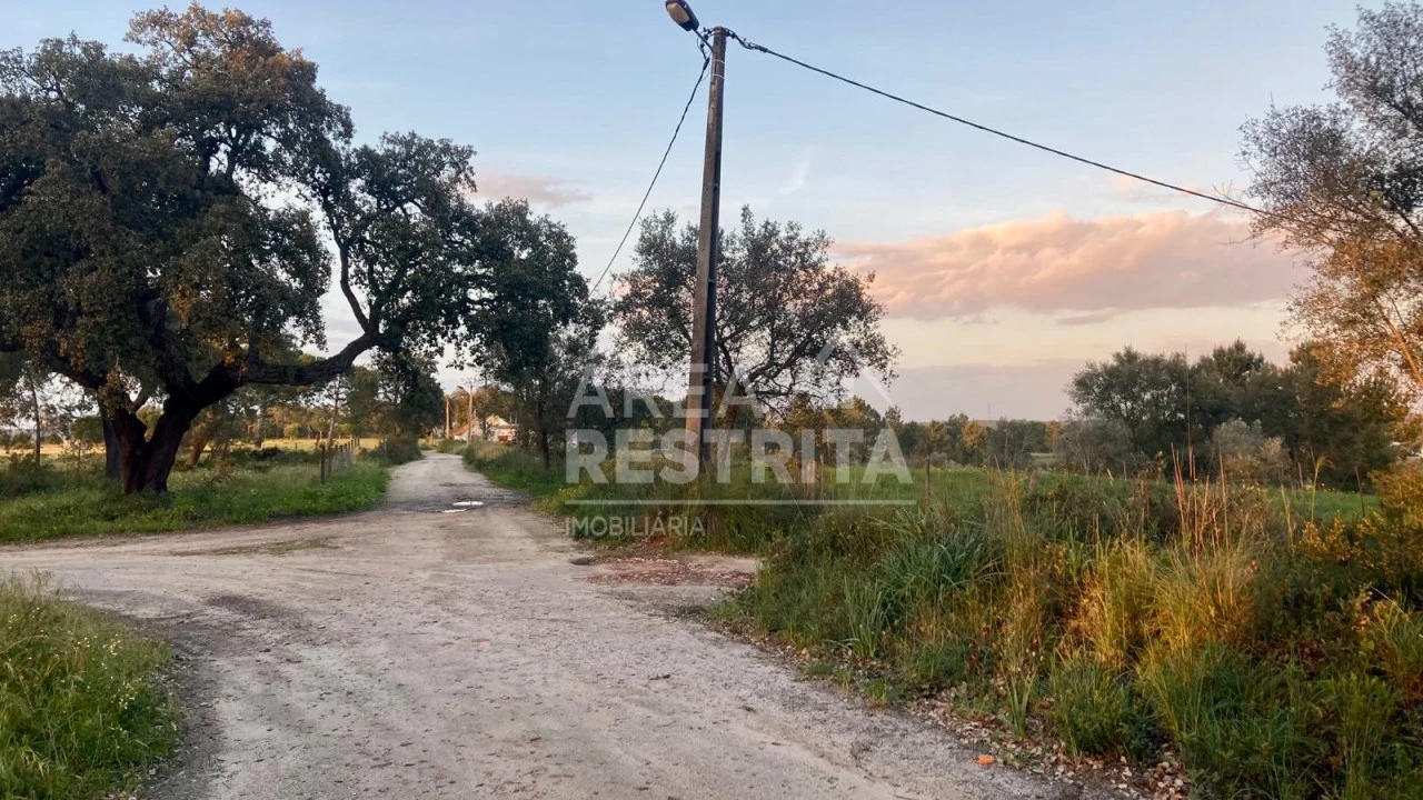 Terreno para Venda em Canha Foto 16