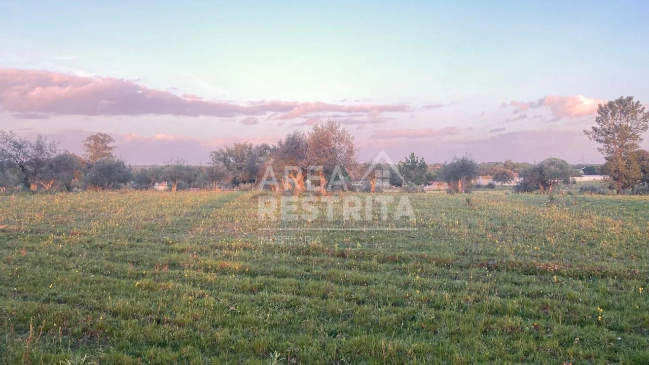 Terreno para Venda em Canha Foto 18