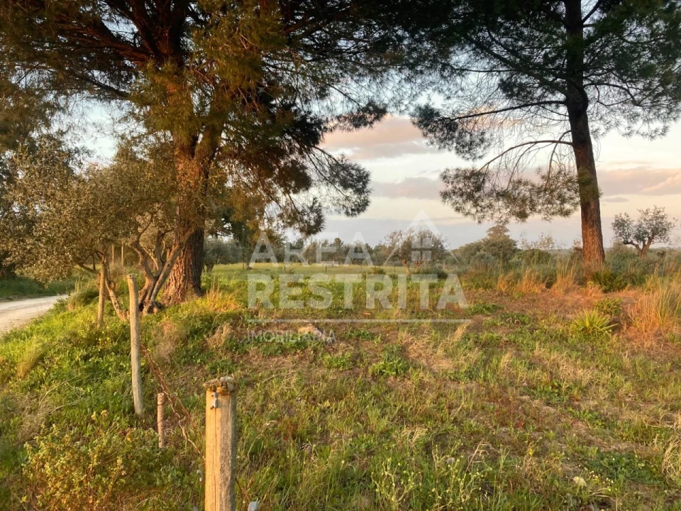Terreno para Venda em Canha Foto 21