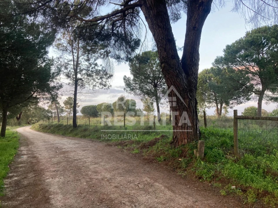 Terreno para Venda em Canha Foto 22