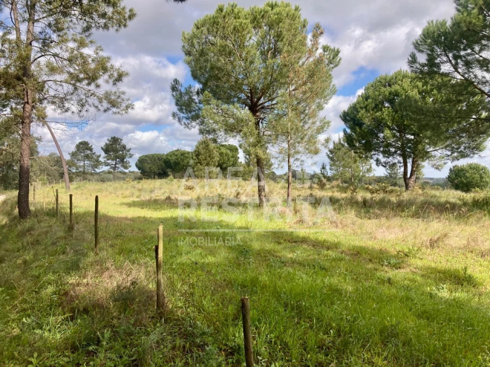 Terreno para Venda em Canha Foto 25