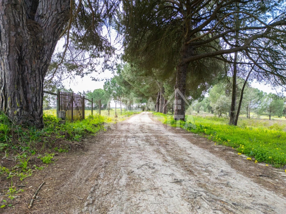 Terreno para Venda em Canha Foto 35