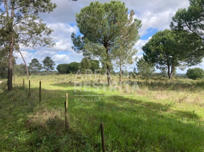 Terreno para Venda em Canha Foto 8