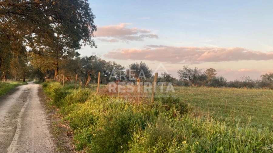 Terreno para Venda em Canha Foto 7