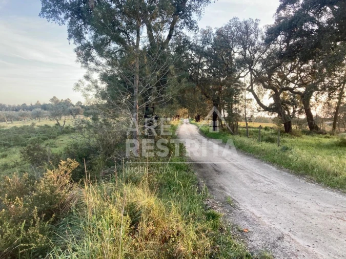 Terreno para Venda em Canha Foto 14