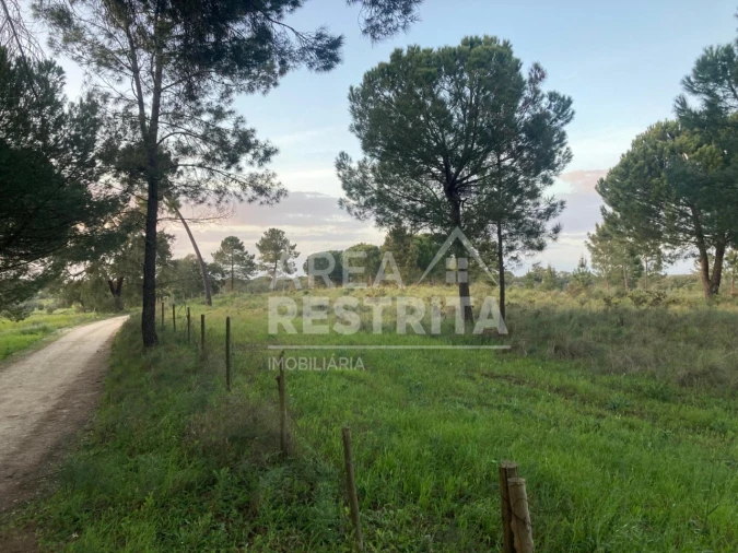 Terreno para Venda em Canha Foto 20