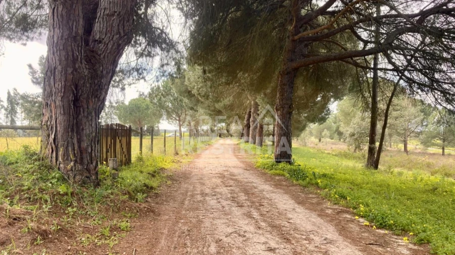 Terreno para Venda em Canha Foto 23