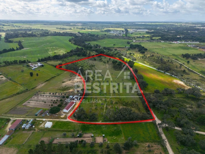 Terreno para Venda em Canha Foto 28