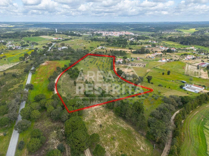 Terreno para Venda em Canha Foto 31