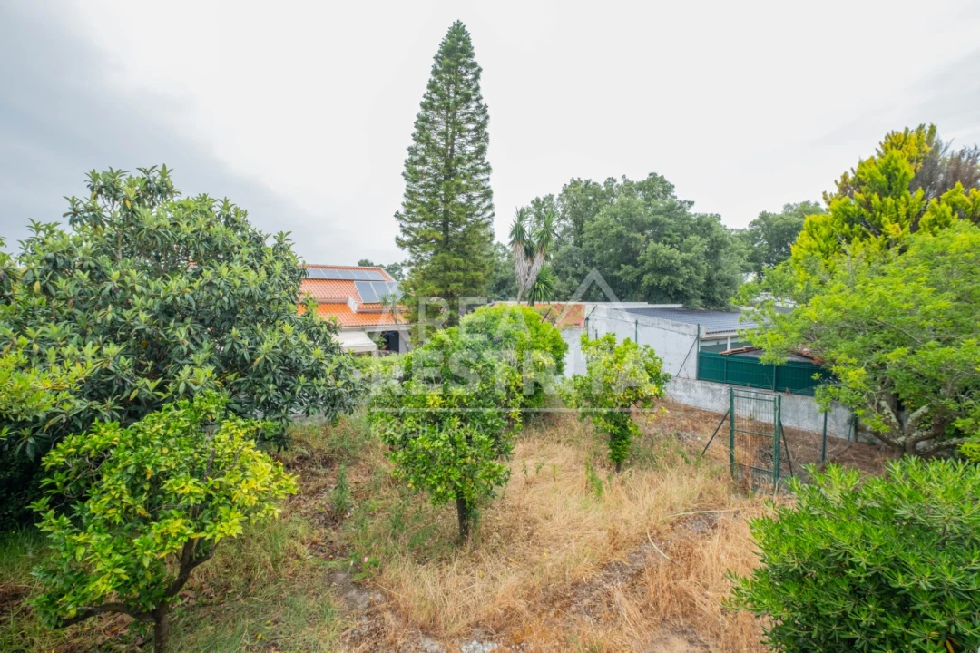 Moradia T7 para Venda em Azeitão (São Lourenço e São Simão) Foto 47