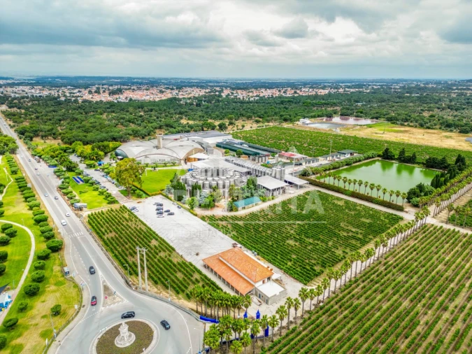 Moradia T7 para Venda em Azeitão (São Lourenço e São Simão) Foto 51