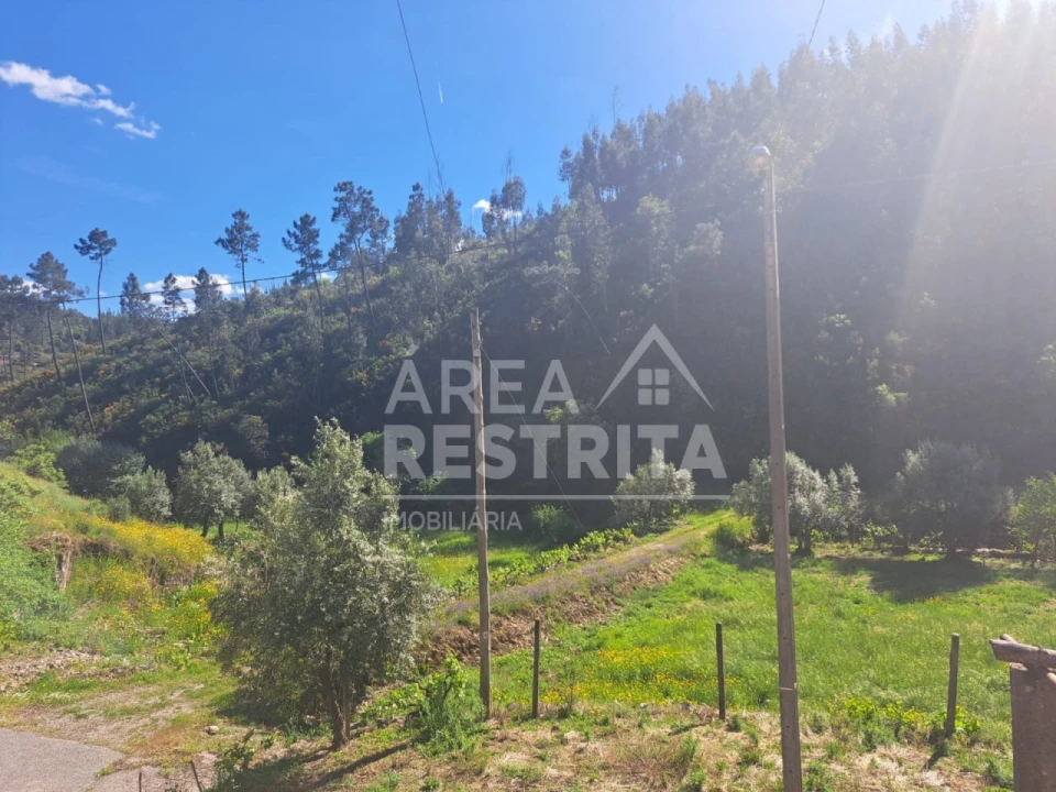 Moradia T6 para Venda em Cambas Foto 3