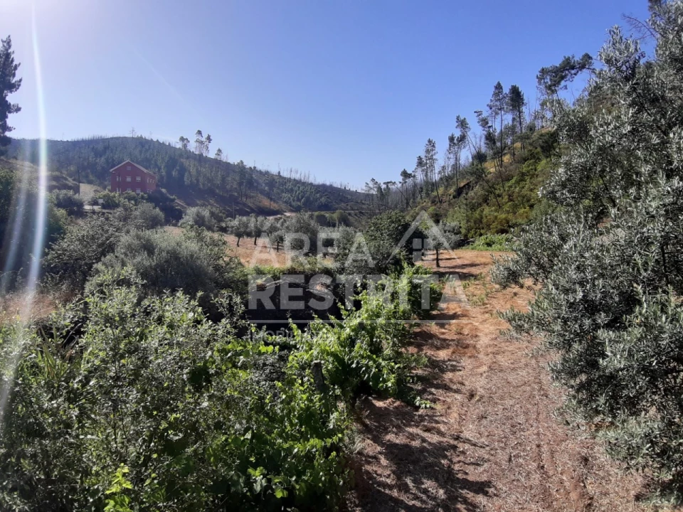 Moradia T6 para Venda em Cambas Foto 4