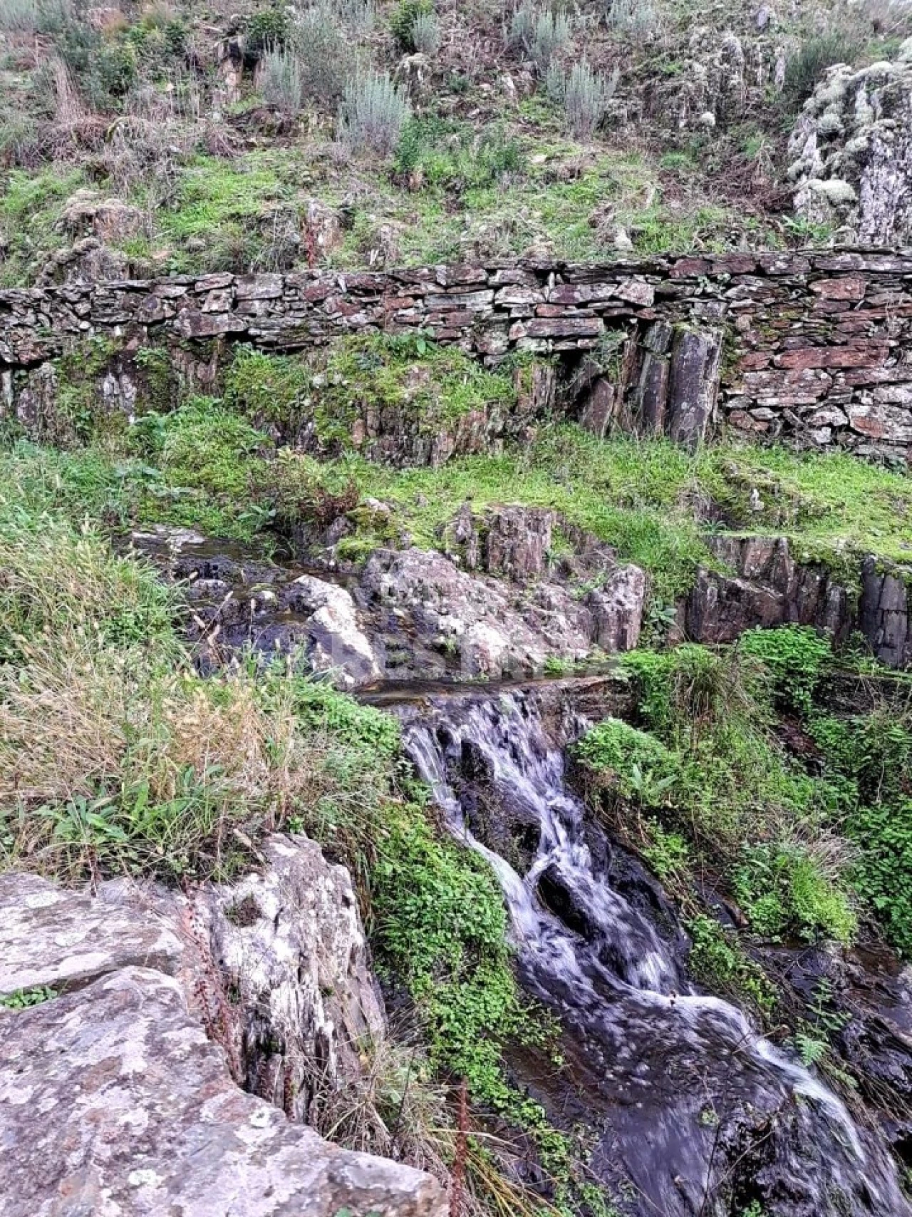 Moradia T6 para Venda em Cambas Foto 6