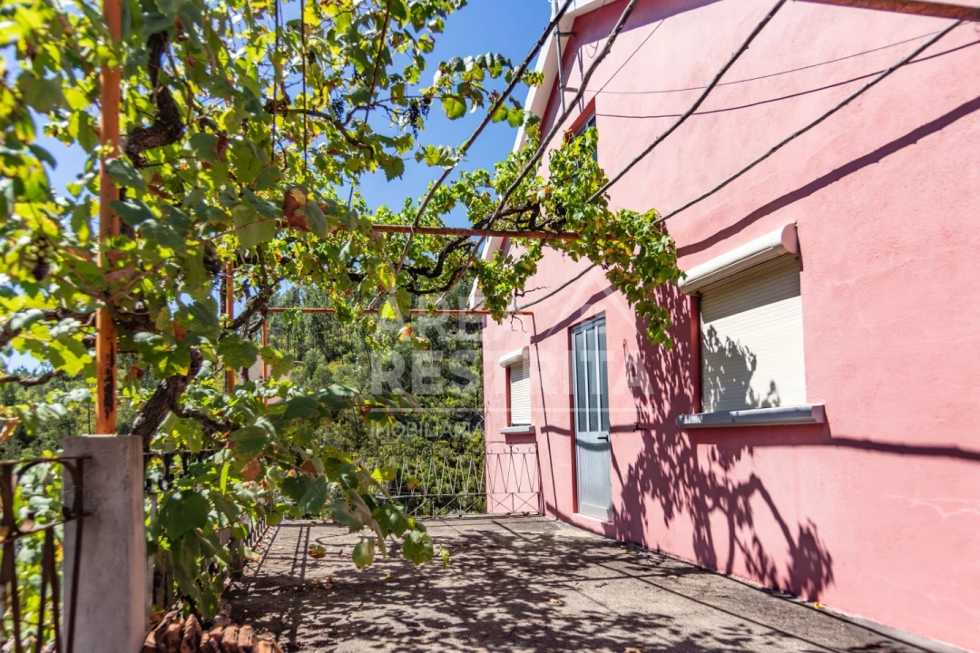 Moradia T6 para Venda em Cambas Foto 50