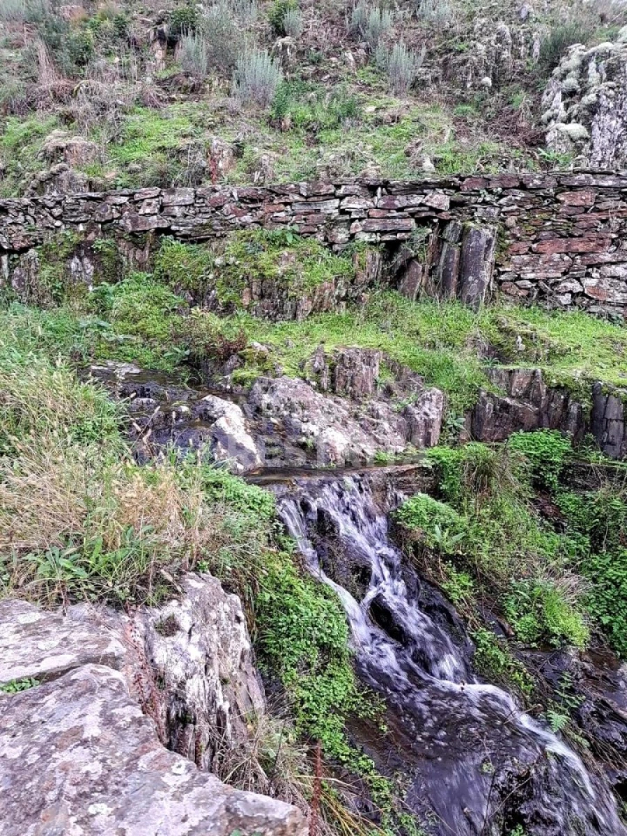 Moradia T6 para Venda em Cambas Foto 6