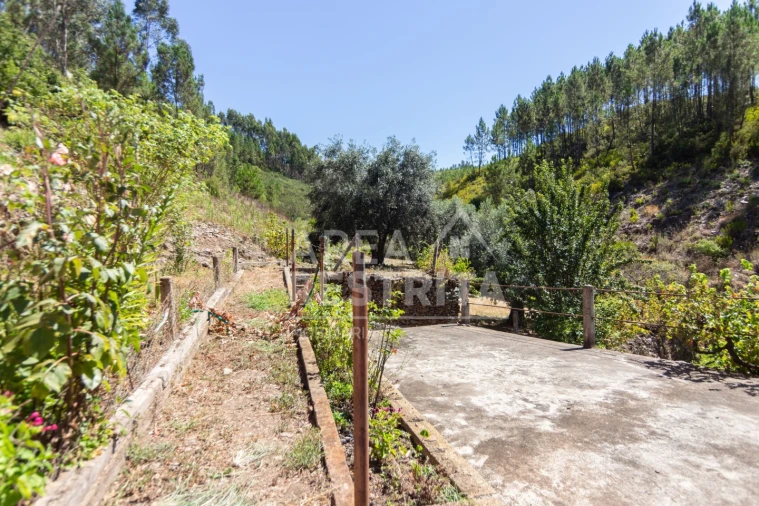 Moradia T6 para Venda em Cambas Foto 19