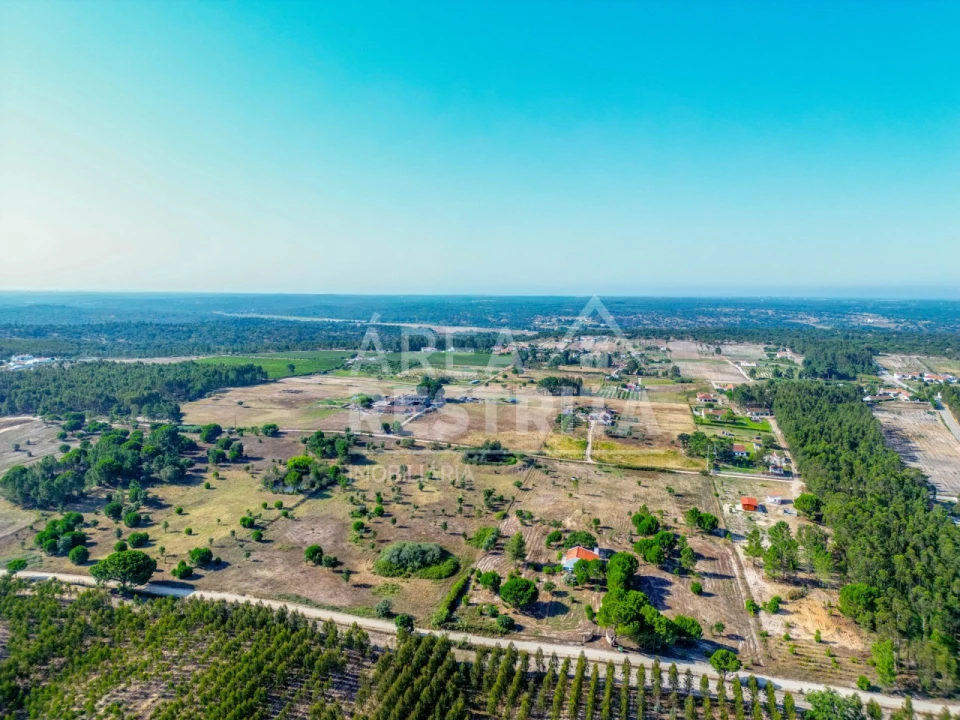 Terreno para Venda em Branca Foto 4