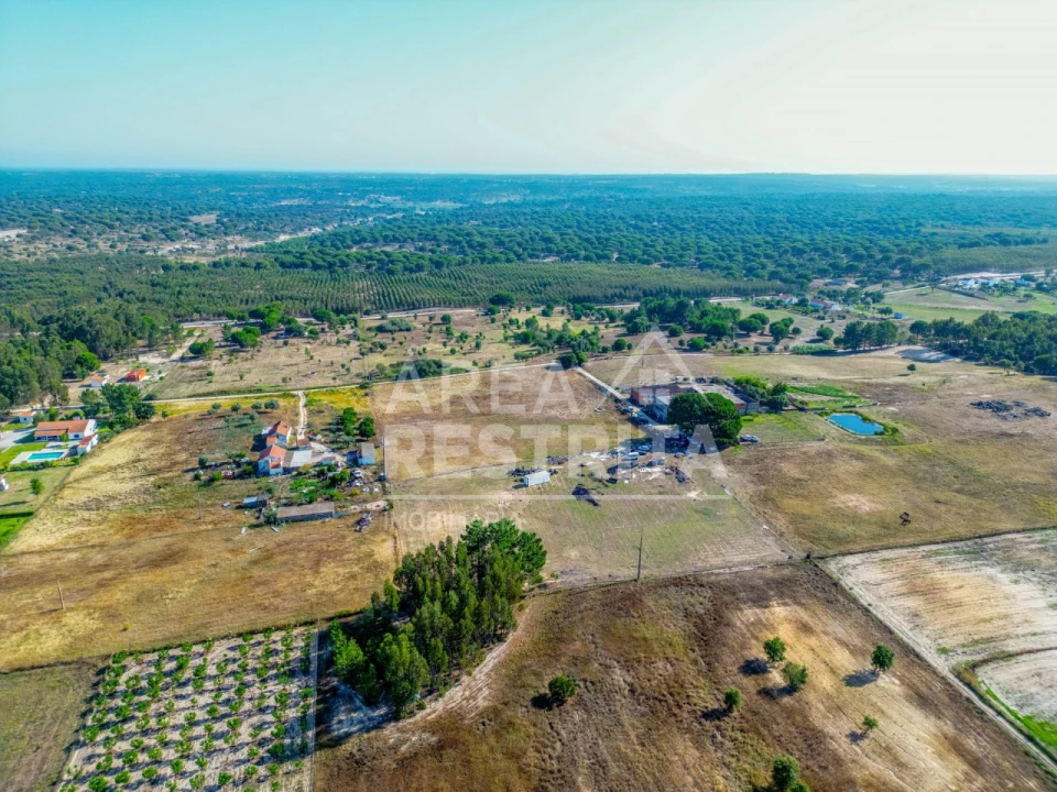 Terreno para Venda em Branca Foto 5