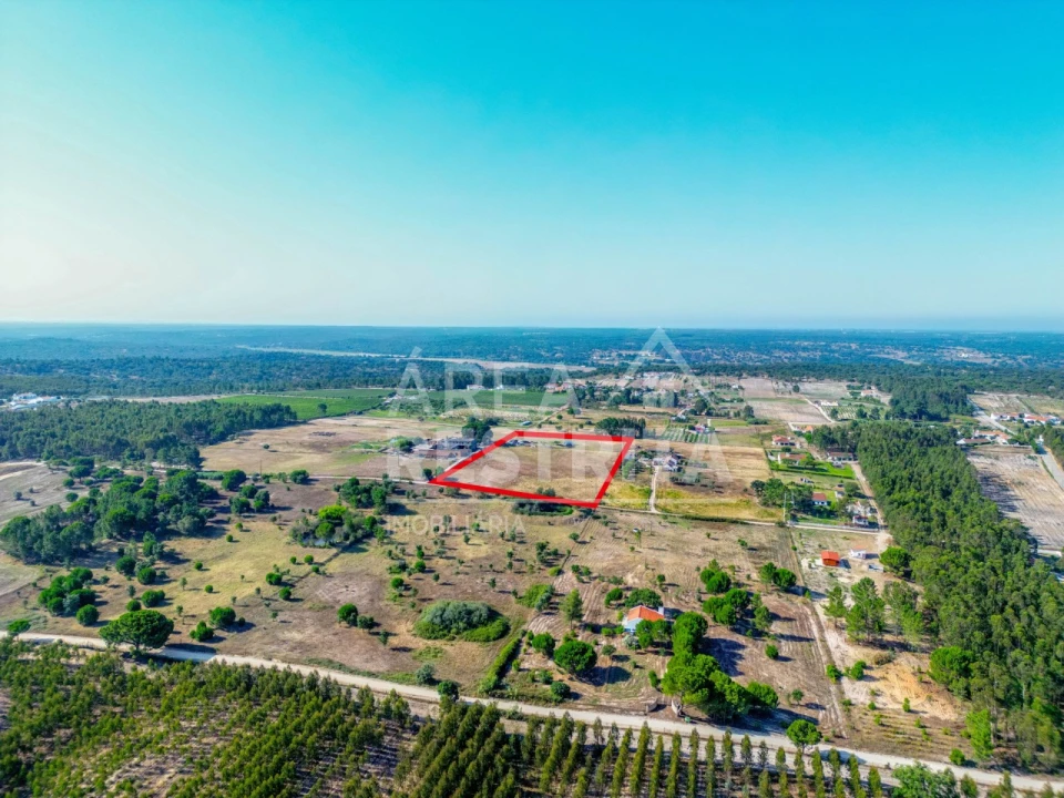 Terreno para Venda em Branca Foto 11