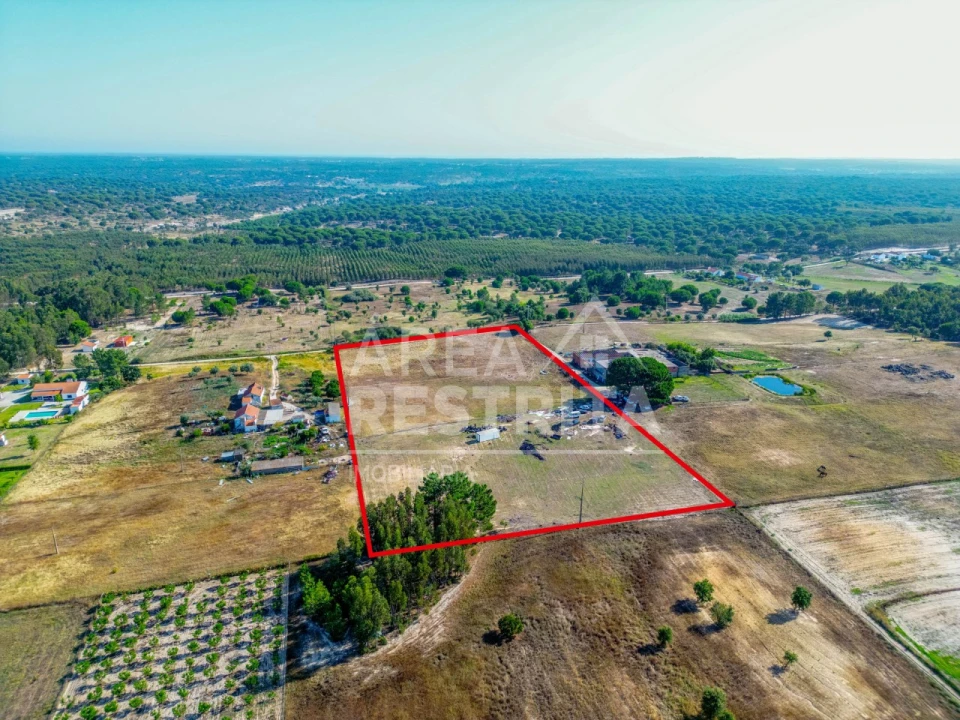 Terreno para Venda em Branca Foto 13