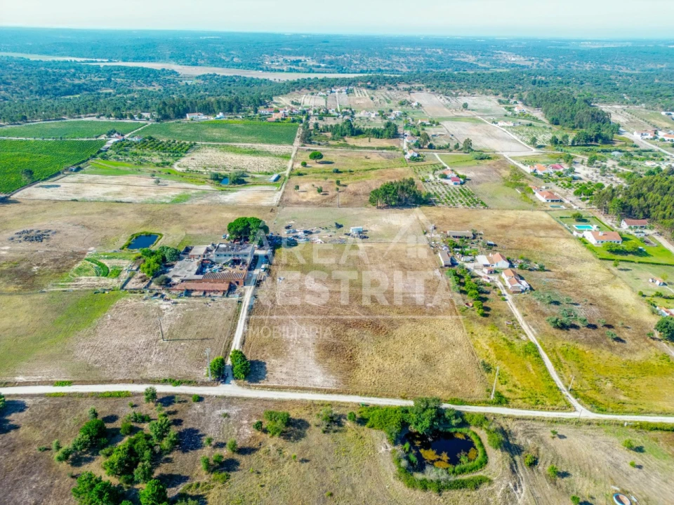 Terreno para Venda em Branca Foto 17