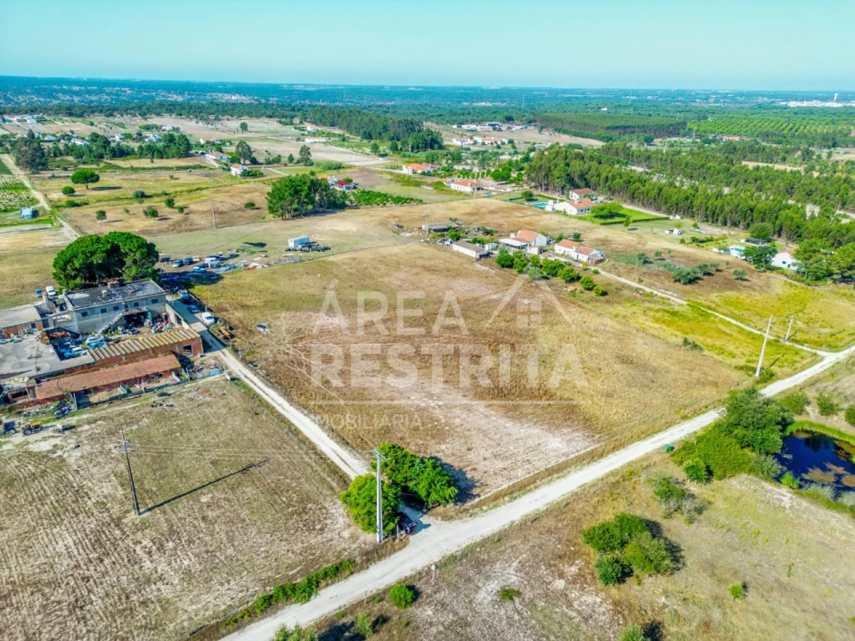 Terreno para Venda em Branca Foto 20