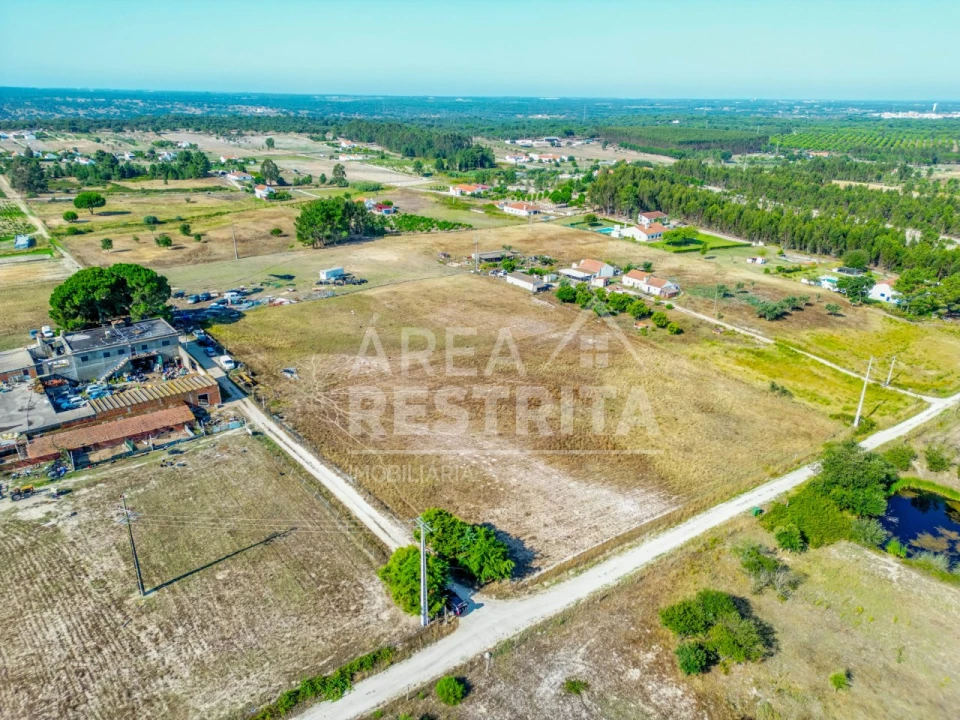 Terreno para Venda em Branca Foto 22
