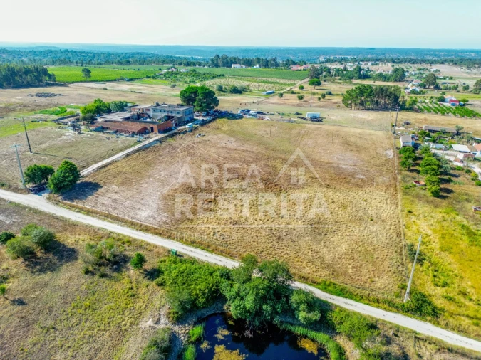 Terreno para Venda em Branca Foto 24
