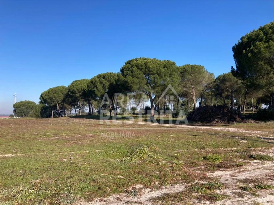 Terreno para Venda em Pegões Foto 4