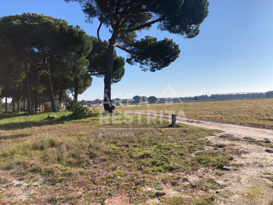 Terreno para Venda em Pegões Foto 6