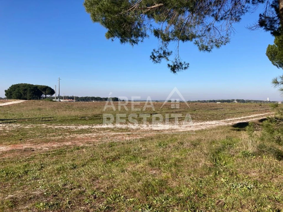 Terreno para Venda em Pegões Foto 1