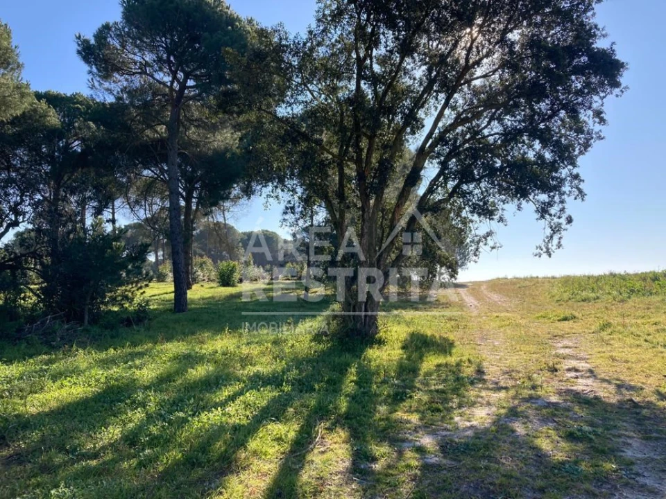 Terreno para Venda em Pegões Foto 10