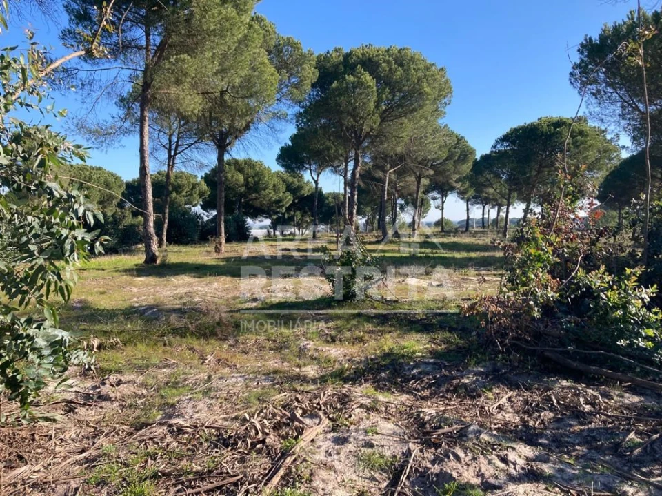 Terreno para Venda em Pegões Foto 14