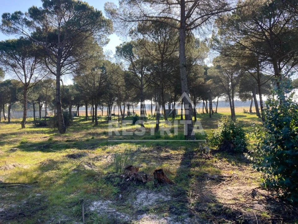 Terreno para Venda em Pegões Foto 15