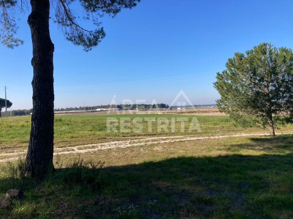 Terreno para Venda em Pegões Foto 22