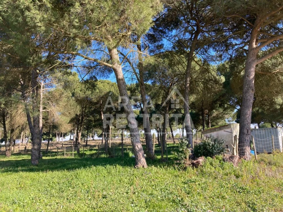 Terreno para Venda em Pegões Foto 24