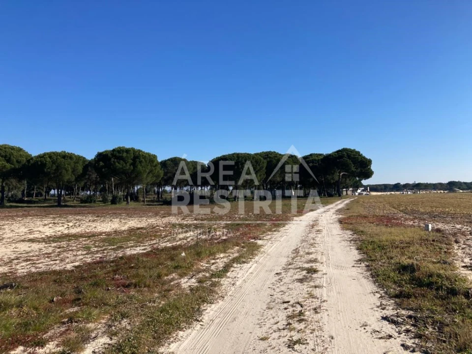 Terreno para Venda em Pegões Foto 29
