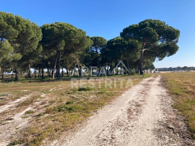 Terreno para Venda em Pegões Foto 5